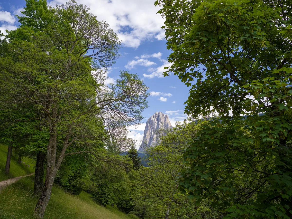 Weekend slow a Ortisei senza auto: itinerario tra natura e benessere